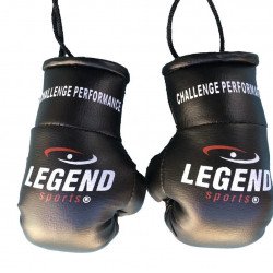 Legend Mini Bokshandschoenen - Goud/Geel Legend Mini Bokshandschoenen - Goud/Geel