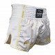 Kickboks broekje gold/white Legend Trendy  - Maat: XXS